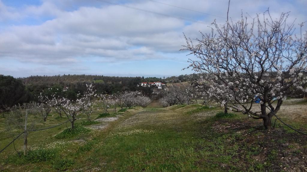 Casa De Besteiros Arneiro da Volta 외부 사진